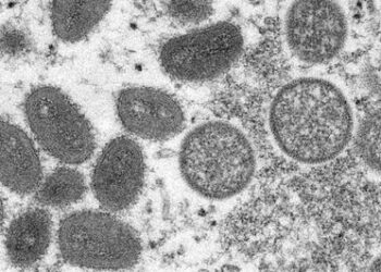 ВОЗ предупреждает, что стойкая передача обезьяньей оспы грозит уязвимым группам