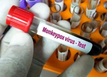 В Нидерландах выявили 167 случаев инфицирования обезьяньей оспой