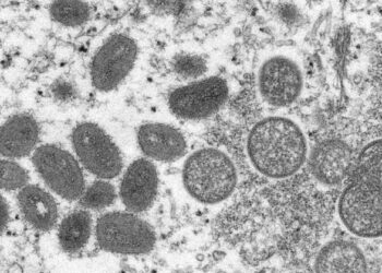 ВОЗ: обезьянья оспа еще не чрезвычайная ситуация