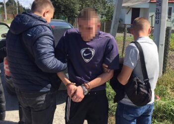 На Житомирщині судитимуть злочинця, який пограбував жінку в ії ж будинку | Кримінальні новини