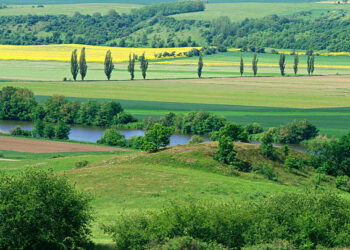 На Львівщині середня вартість гектара приватної сільськогосподарської землі становить пів мільйона – Новини Львова та області