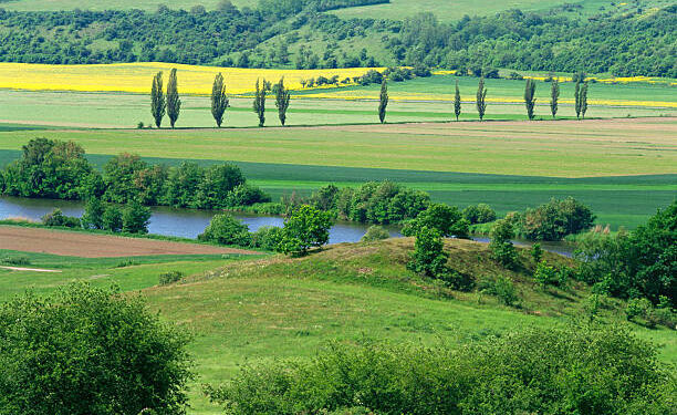 На Львівщині середня вартість гектара приватної сільськогосподарської землі становить пів мільйона – Новини Львова та області