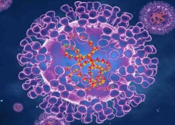 Регулятор ЕС рекомендовал одобрить вакцину против обезьяньей оспы