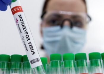 В Нидерландах начали прививать против оспы обезьян