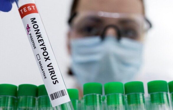 В Нидерландах начали прививать против оспы обезьян