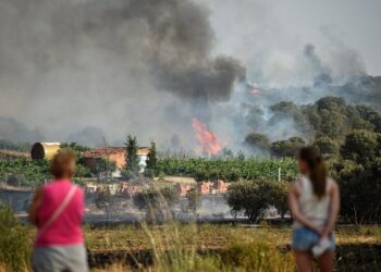 Климатическая служба ЕС выпустила предупреждение о вреде озона из-за сильной жары