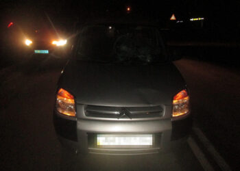 У Бердичеві літній водій легковика скоїв наїзд на жінку та 5-річну дитину. ФОТО | Кримінальні новини