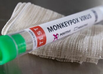 Количество случаев оспы обезьян во всем мире выросло до более чем 3200 – ВОЗ