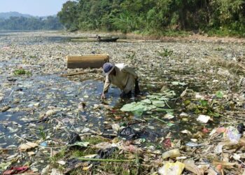 Он повсюду: микропластик в океанах, воздухе и организме человека — исследование