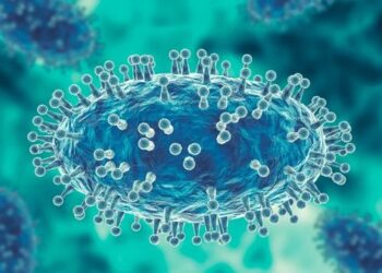 В мире зарегистрировано более 6000 случаев оспы обезьян. ВОЗ назначила экстренное совещание