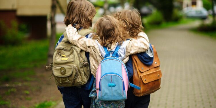 Навчальний рік у Червоноградському районі – 118 шкіл на очному та змішаному навчанні, ще 5 – на дистанційному – Новини Львова та області