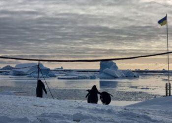 Українські полярники зафіксували найтеплішу зиму на станції «Академік Вернадський»