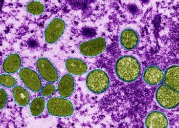 ВОЗ предупреждает о росте заболеваемости коронавирусом и обезьяньей оспой