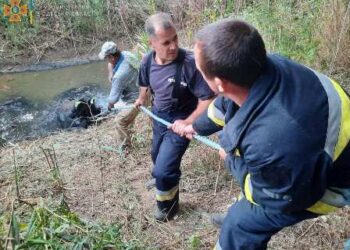 На Одещині провели вдалу рятувальну операцію | Надзвичайні події Одесса та область