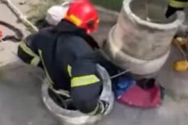 Одеські рятувальники дістали з колодязя кота | Надзвичайні події Одесса та область