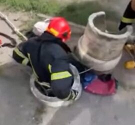 Одеські рятувальники дістали з колодязя кота | Надзвичайні події Одесса та область