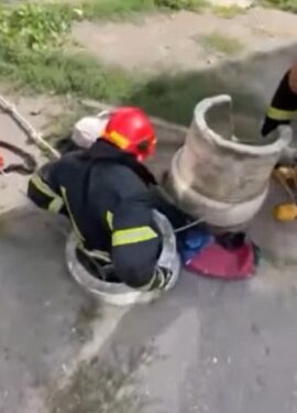 Одеські рятувальники дістали з колодязя кота | Надзвичайні події Одесса та область