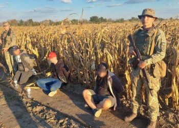 Прикордонники Ізмаїльського загону затримали ухилянтів від військової служби посеред кукурудзяного поля