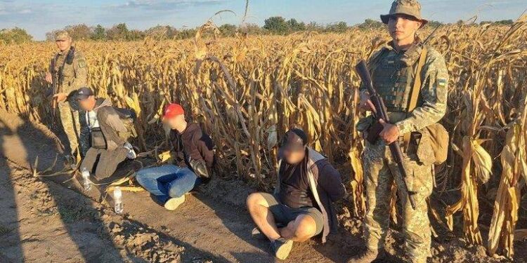 Прикордонники Ізмаїльського загону затримали ухилянтів від військової служби посеред кукурудзяного поля