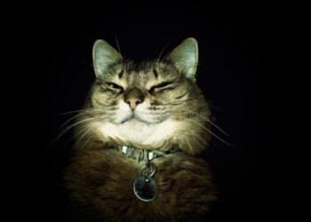 В Одесі в деяких районах відключили світло | Одеський Кур’єр