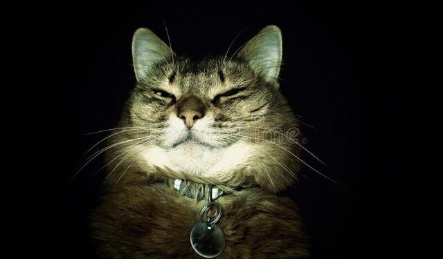 В Одесі в деяких районах відключили світло | Одеський Кур’єр