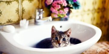 В Одесі знову відключать воду | Одеський Кур’єр