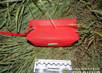 В Одеській області чоловік намагався пограбувати односельчанку, яка повернулася із заробітків — Новини Одеської області