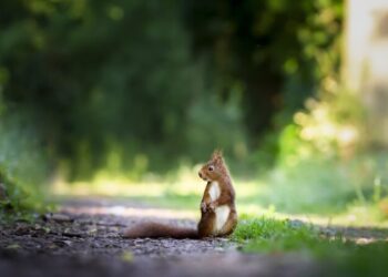 В Одесской области начался традиционный «сезон тишины» — Суспільство Одеси