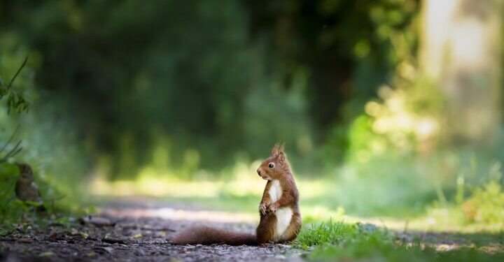 В Одесской области начался традиционный «сезон тишины» — Суспільство Одеси