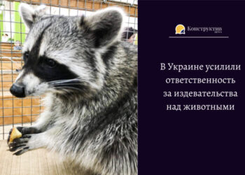 В Украине усилили ответственность за издевательства над животными — Суспільство Одеси