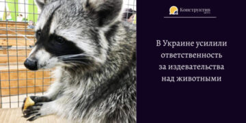 В Украине усилили ответственность за издевательства над животными — Суспільство Одеси