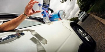 В Україні хочуть ввести штрафи за викидання сміття