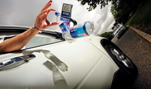 В Україні хочуть ввести штрафи за викидання сміття