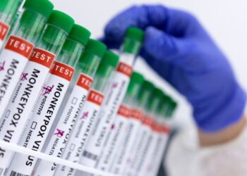 В Калифорнии из-за оспы обезьян объявлено чрезвычайное положение