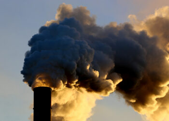 Прокуратура Житомирщини домоглася в суді серйозного покарання за екологічний злочин  | Кримінальні новини