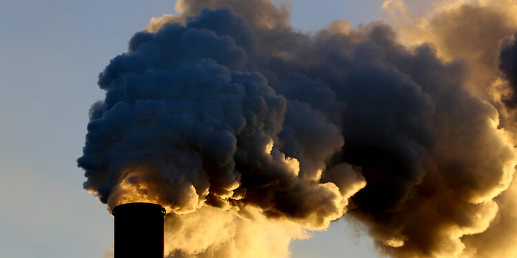 Прокуратура Житомирщини домоглася в суді серйозного покарання за екологічний злочин  | Кримінальні новини