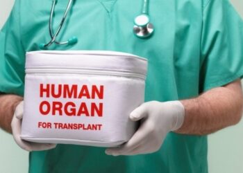 Несмотря на войну в Украине выросли темпы проведения трансплантаций