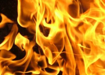 На Одещині пожежники врятували урожай від вогню | Надзвичайні події Одесса та область