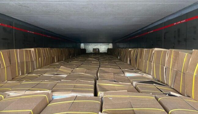 Одеські митники затримали понад 20 тонн «гуманітарних» креветок — Новини Одеської області