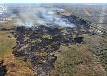 У Дунайських плавнях знову велика пожежа | Одеський Кур’єр