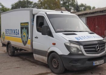 В Арцизі реалізовується Програма з регулювання чисельності безпритульних тварин