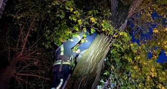 В Одесі врятували домашнього улюбленця | Надзвичайні події Одесса та область