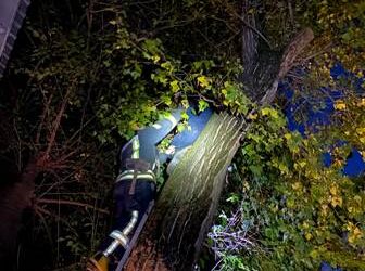 В Одесі врятували домашнього улюбленця | Надзвичайні події Одесса та область