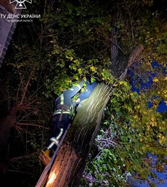 В Одесі врятували домашнього улюбленця | Надзвичайні події Одесса та область