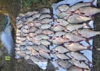 В Одеській області затримали браконьєрів | Надзвичайні події Одесса та область