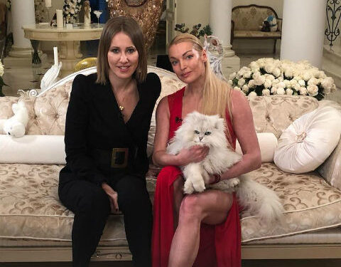 Волочкова и Собчак не поделили жениха, Бородина выгнала Пушкину из прачки. Психолог о дружбе | STARHIT