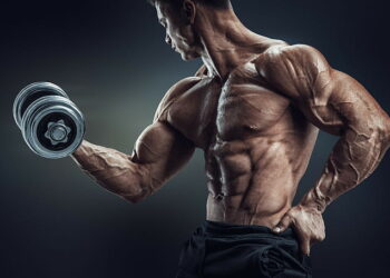 Бодибилдер