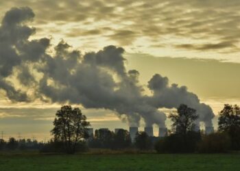 Мир мог бы снизить выбросы CO2 на 700 млн тонн, если бы люди больше ездили на велосипедах