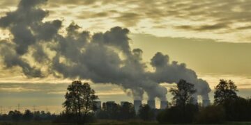 Мир мог бы снизить выбросы CO2 на 700 млн тонн, если бы люди больше ездили на велосипедах