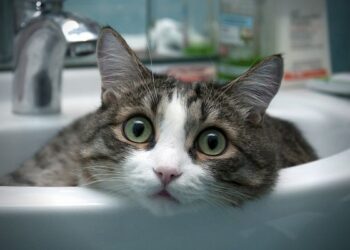 Частина Одеси залишилася без води | Одеський Монітор